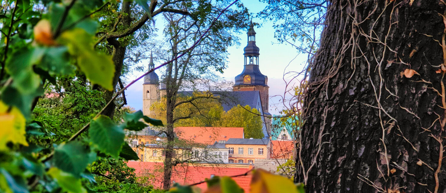 St. Andreas-Kirche in Lutherstadt Eisleben mit einem Baumstamm und herbstlichen Blättern im Vordergrund