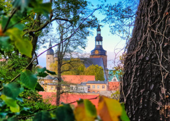 St. Andreas-Kirche in Lutherstadt Eisleben mit einem Baumstamm und herbstlichen Blättern im Vordergrund