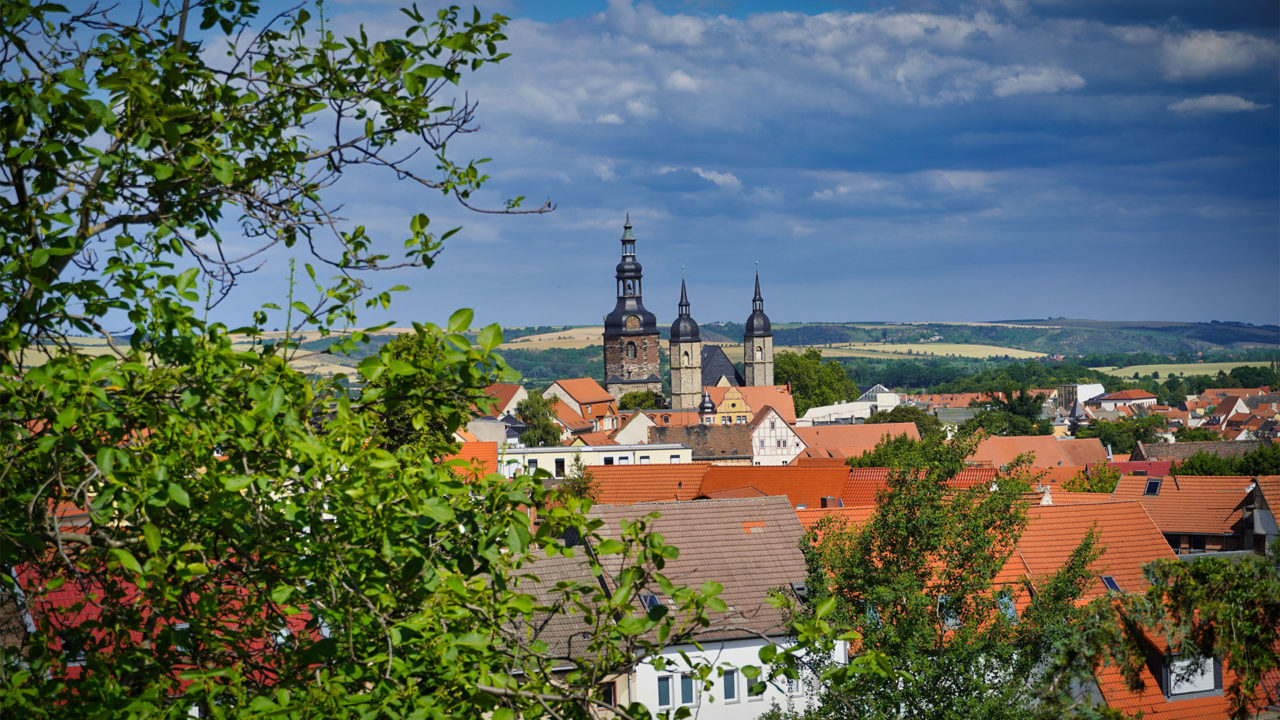 Blick über Häuser und Kirchen Lutherstadt Eislebens mit grünen Zweigen im Vordergrund