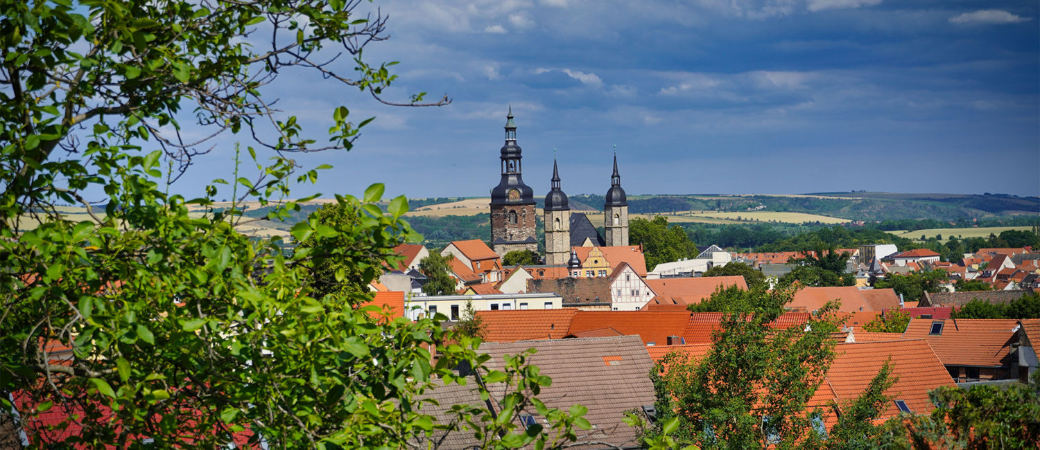 Blick über Häuser und Kirchen Lutherstadt Eislebens mit grünen Zweigen im Vordergrund