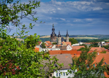Blick über Häuser und Kirchen Lutherstadt Eislebens mit grünen Zweigen im Vordergrund