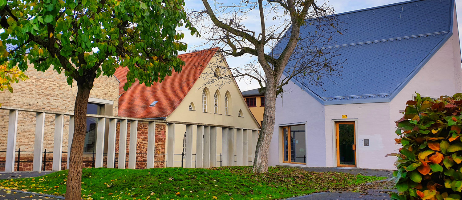 Schöpfungsgarten - Garten mit Bäumen, Sträuchern und Wegen mit Lutherarchiv im Hintergrund