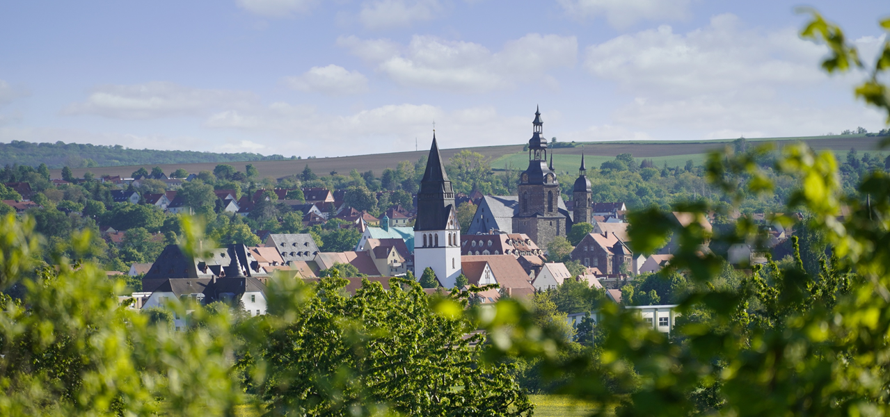 Blick auf die Lutherstadt Eisleben | © SEG CC-BY-SA