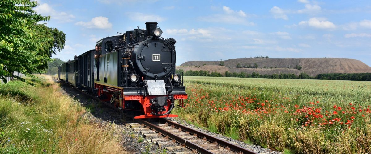 Mansfelder Bergwerksbahn mit flacher Halde im Hintergrund