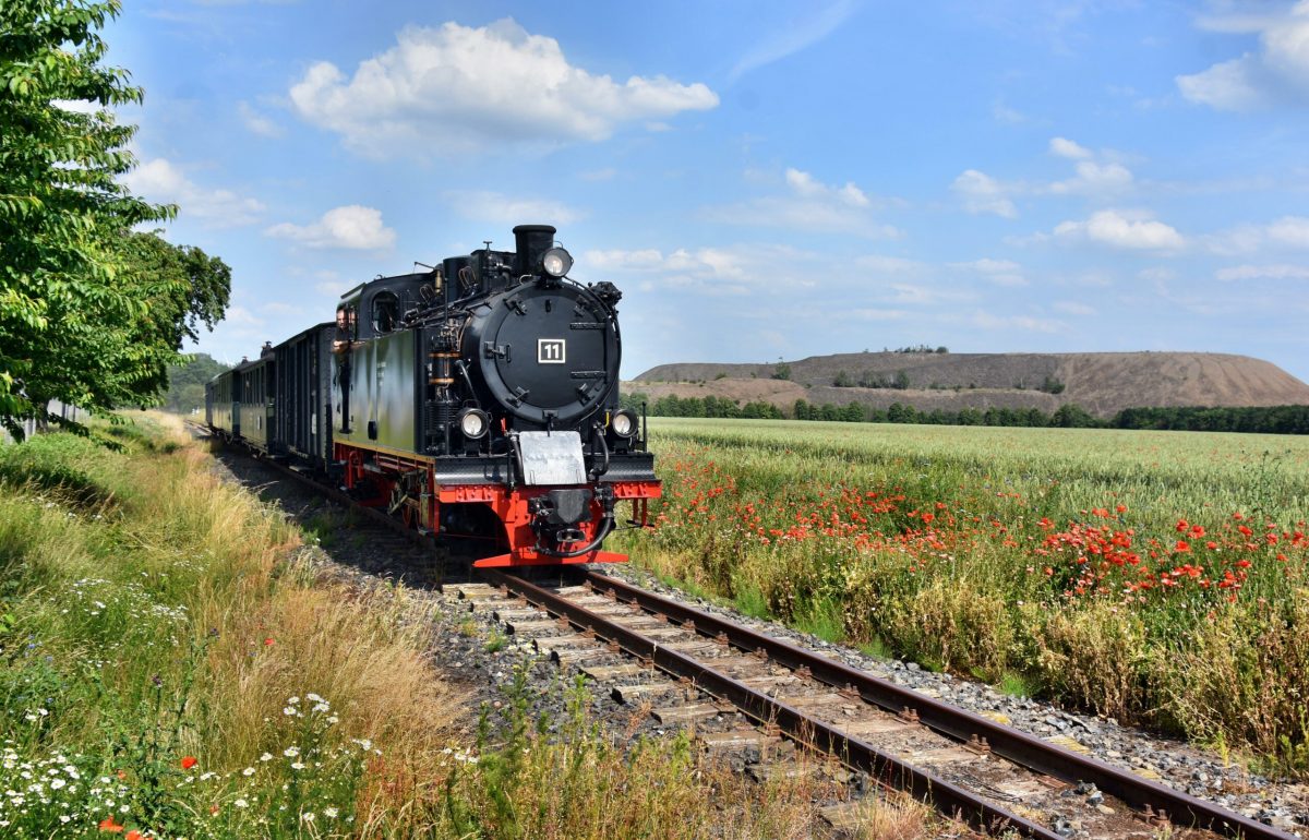 Mansfelder Bergwerksbahn mit flacher Halde im Hintergrund