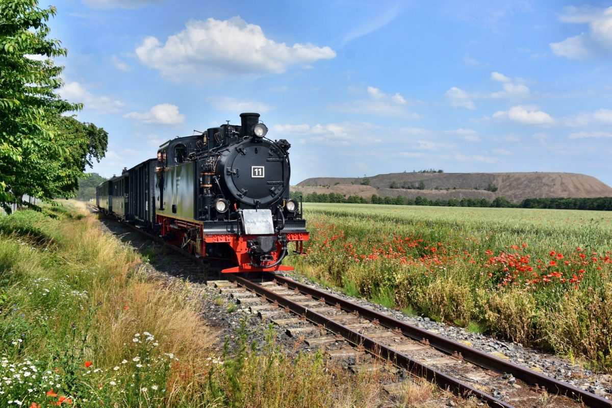 Mansfelder Bergwerksbahn mit flacher Halde im Hintergrund
